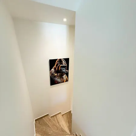 Le Cocon De Vabre, Maison Calme Onet-le-Château